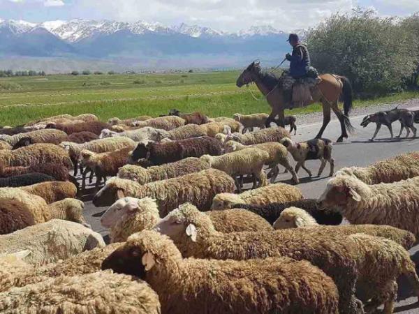 Kyrgyzstan small group holidays