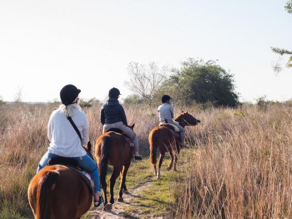 Ibera Wetlands and Iguazu Falls holiday