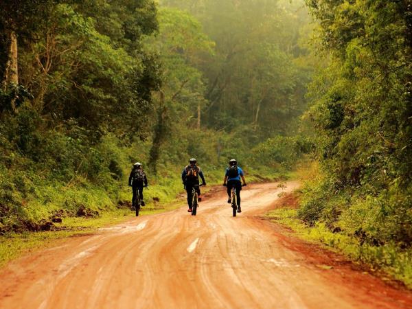 Ibera Wetlands and Iguazu Falls holiday