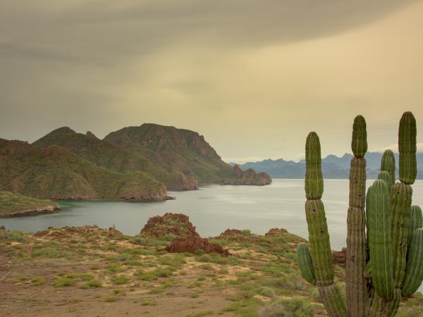 Sea kayaking holiday in Baja, Loreto to La Paz
