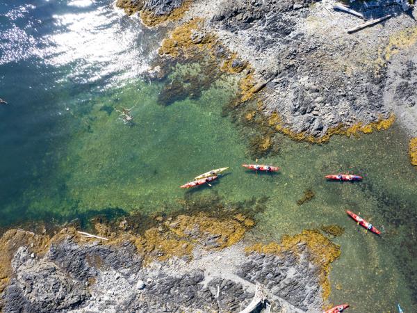 British Columbia sea kayaking holiday