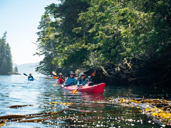 British Columbia sea kayaking holiday