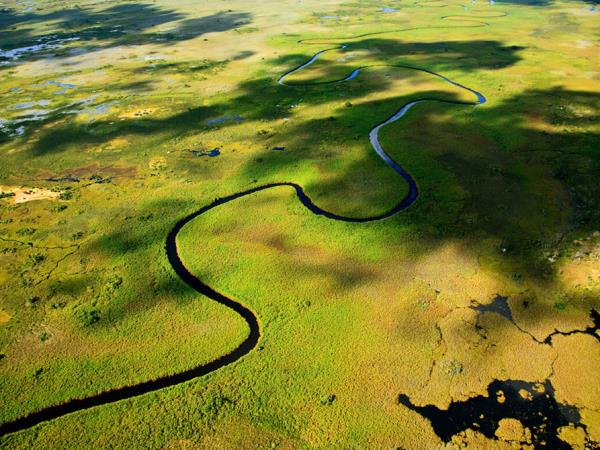 Okavango and Chobe wildlife holiday