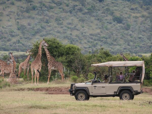 Masai Mara express safari holiday