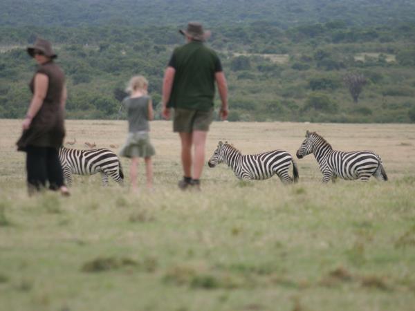 Masai Mara express safari holiday
