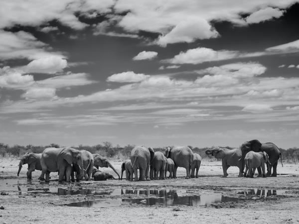 Namibia photography tour