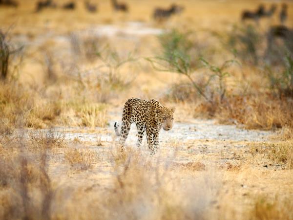 Namibia photography tour