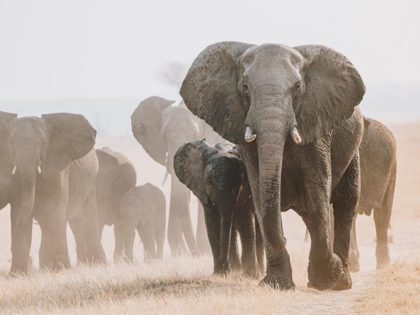 Victoria Falls photography holiday, Zimbabwe