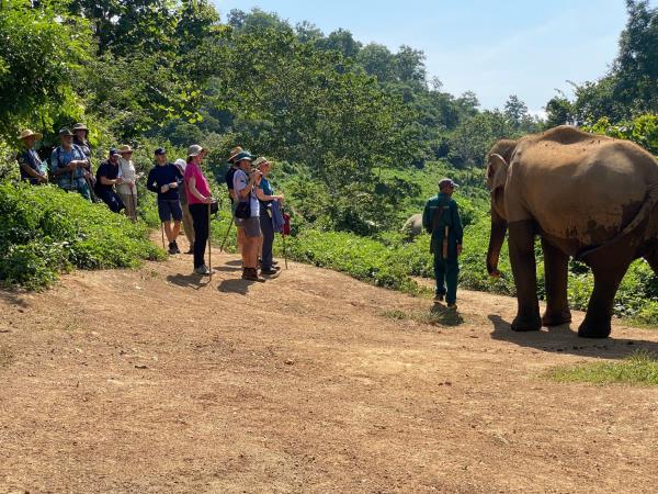 Elephant adventure holiday, Laos