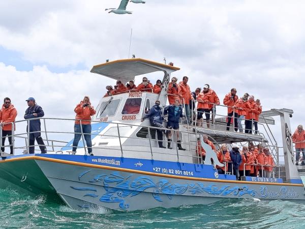 Marine conservation holiday, South Africa 