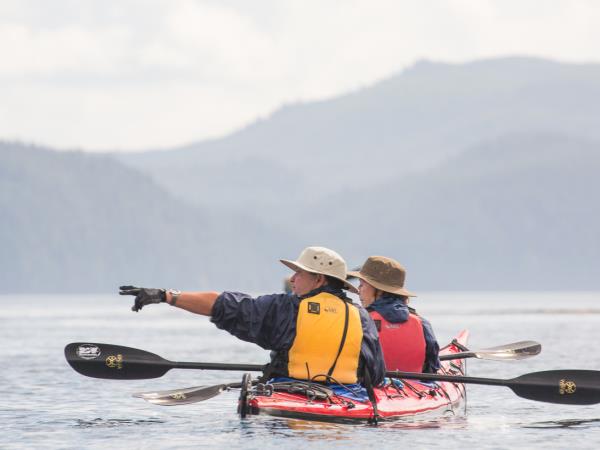 Kayaking with orcas in British Columbia, 4 days
