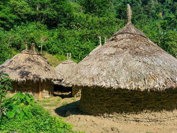 Lost City trek in Colombia