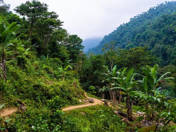 Lost City trek & Tayrona beach holiday, Colombia