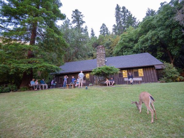 Rogue River rafting holiday in the USA