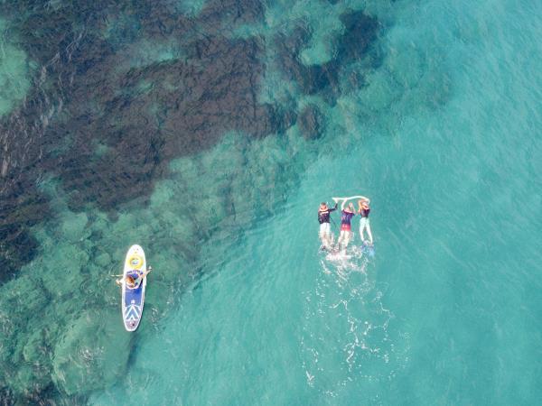 Marine and coastal conservation holiday, Greece