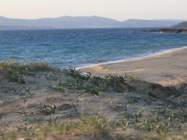 Marine and coastal conservation holiday, Greece