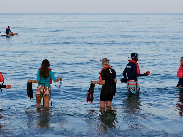 Marine and coastal conservation holiday, Greece