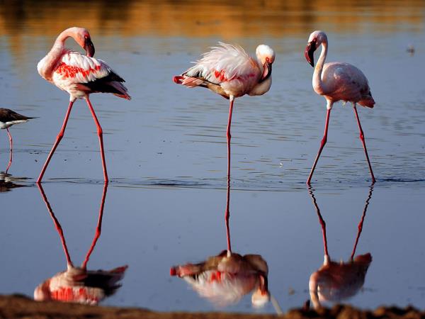 Northern Tanzania luxury guided holiday 