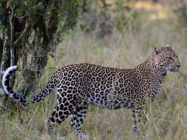 Northern Tanzania luxury guided holiday 