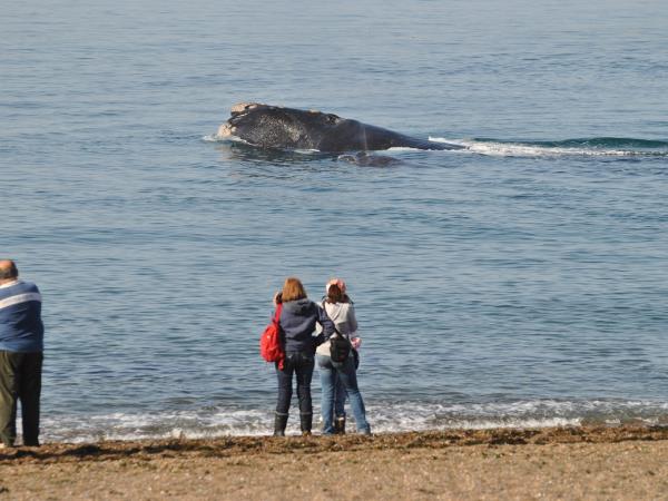 Patagonia family holiday