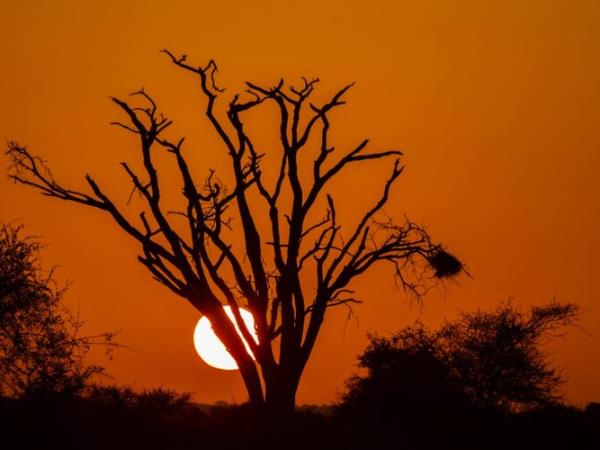 Kenya guided wildlife holiday