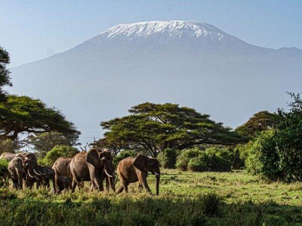 Kenya and Tanzania small group safari holiday