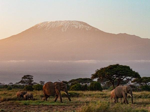 Kenya safari with a beach stay
