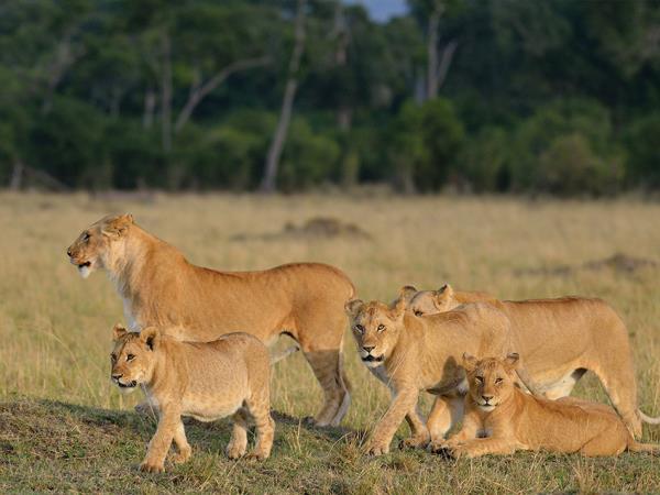 Tanzania cultural safari holiday