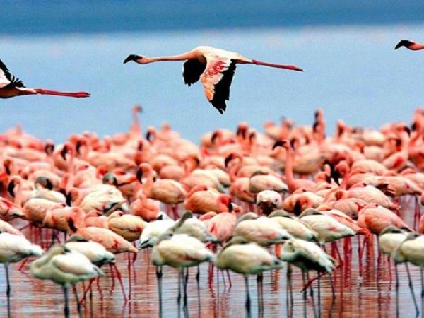 Tanzania cultural safari holiday