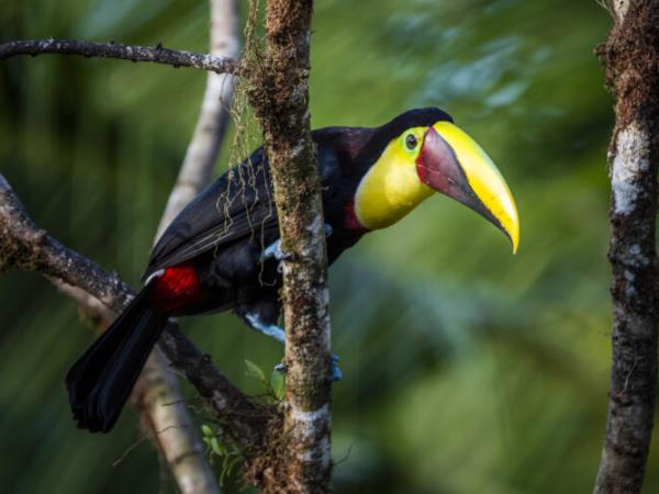 Costa Rica photography tour