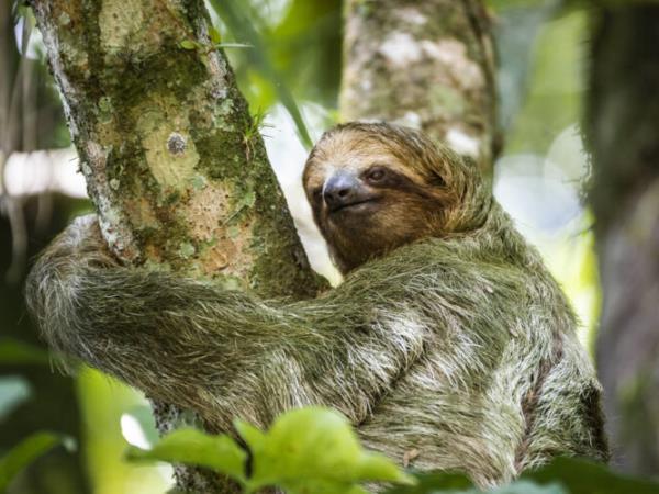 Costa Rica photography tour