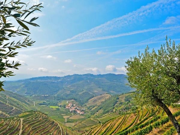 Douro River cruise in Portugal