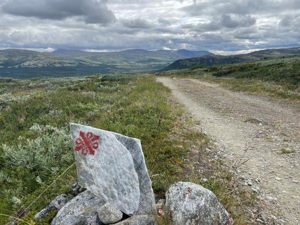 Walking holiday in Norway, Dovrefjell National Park