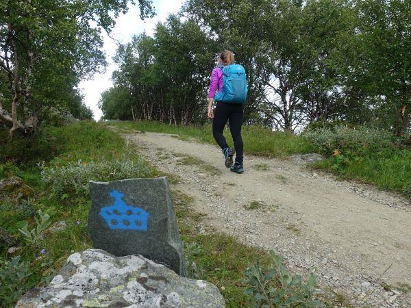 Walking holiday in Norway, Dovrefjell National Park