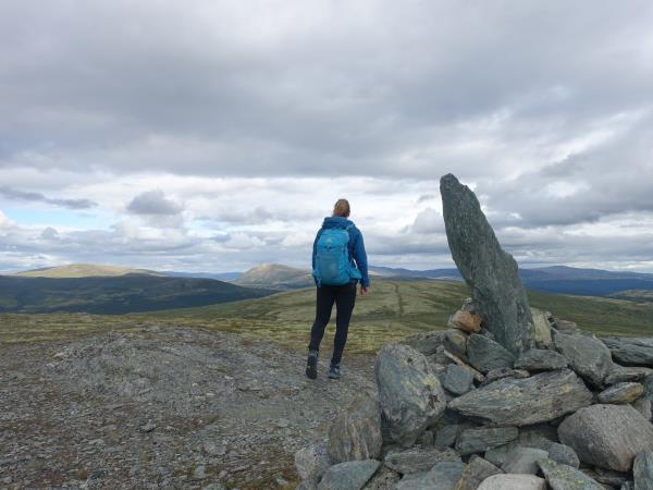 Walking holiday in Norway, Dovrefjell National Park