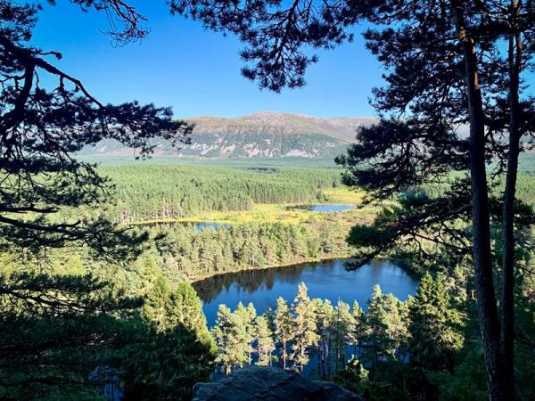 Women only retreat in the Cairngorms NP