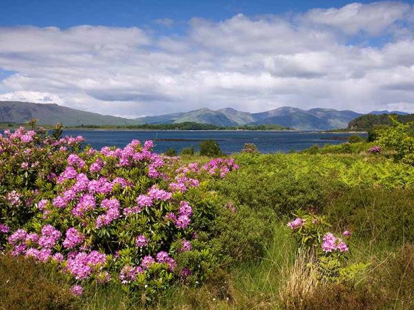 Highlands of Scotland walking holiday