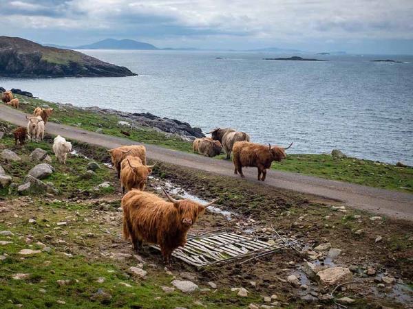 E-bike tour in the Outer Hebrides