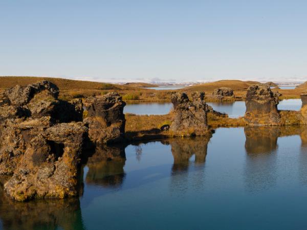 Iceland midnight sun and whale watching, self drive