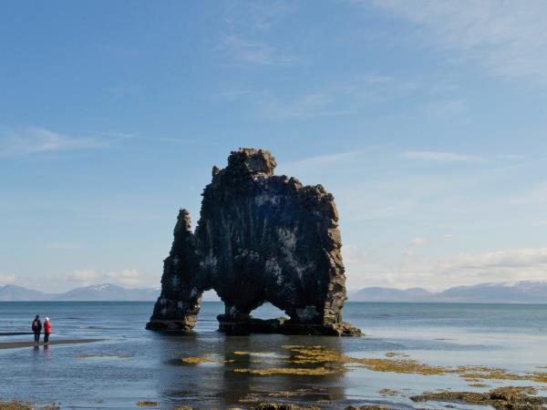 Iceland midnight sun and whale watching, self drive