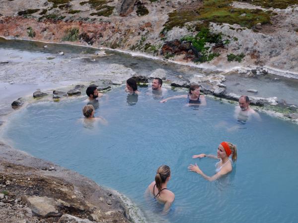 Iceland midnight sun and whale watching, self drive