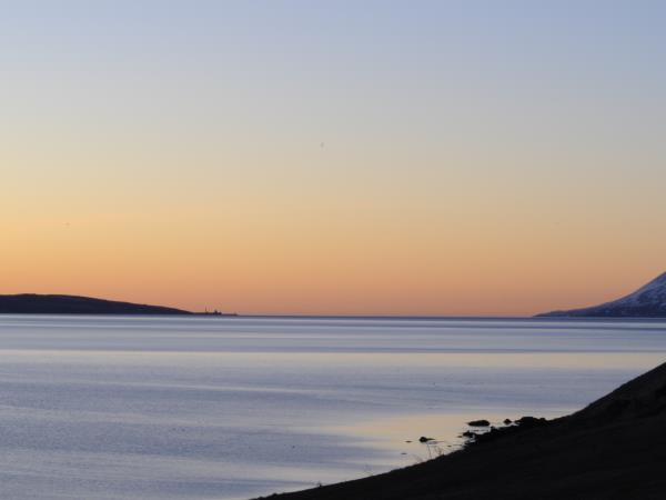 Iceland midnight sun and whale watching, self drive