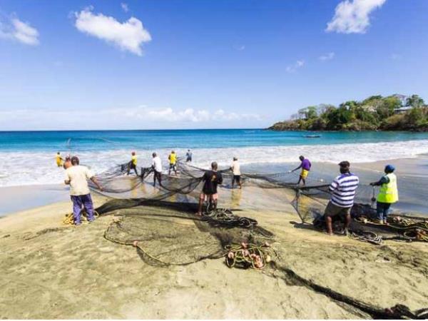 Trinidad & Tobago tours, tailor made