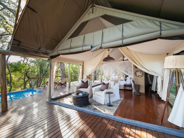 Wildlife conservation safari in South Africa