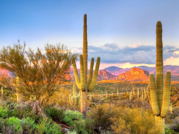 Arizona and New Mexico self drive holiday
