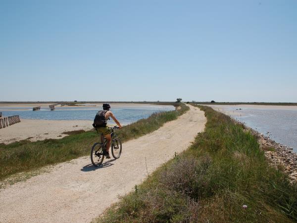Provence to Camargue cycling holiday in France