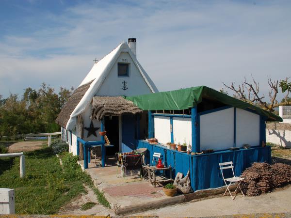 Provence to Camargue cycling holiday in France