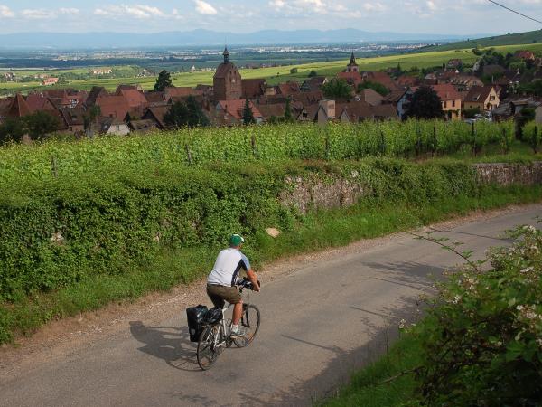 Family cycling holiday in Alsace, France