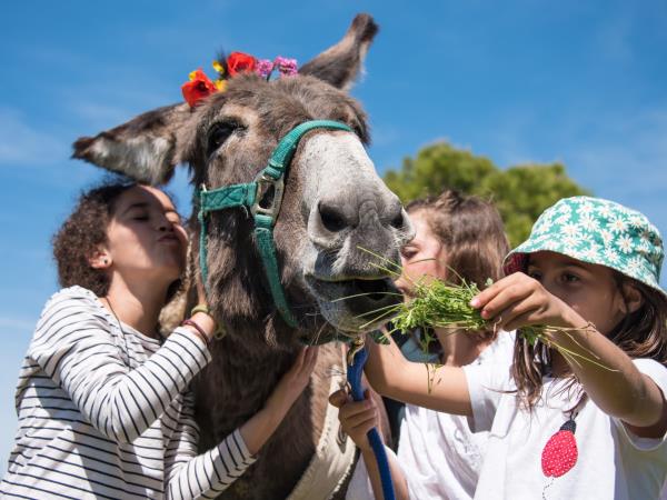 Family walking holidays with a donkey, France