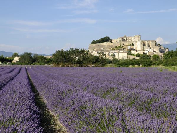 Provence to Camargue cycling holiday in France